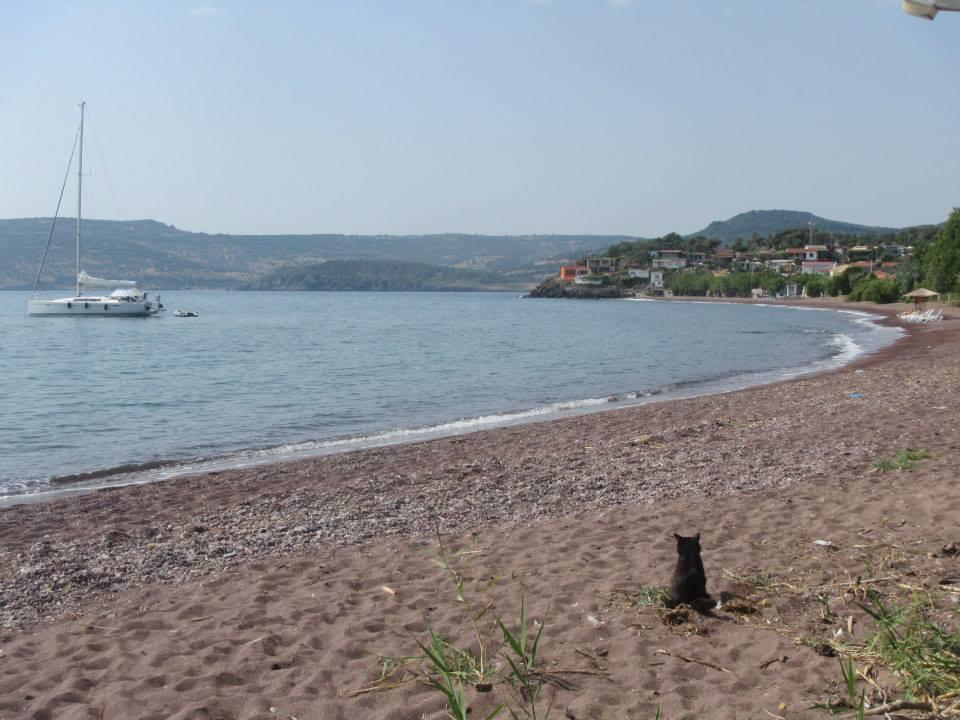 Eleni B&B Limani Kapis Luaran gambar